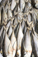 salted fish
