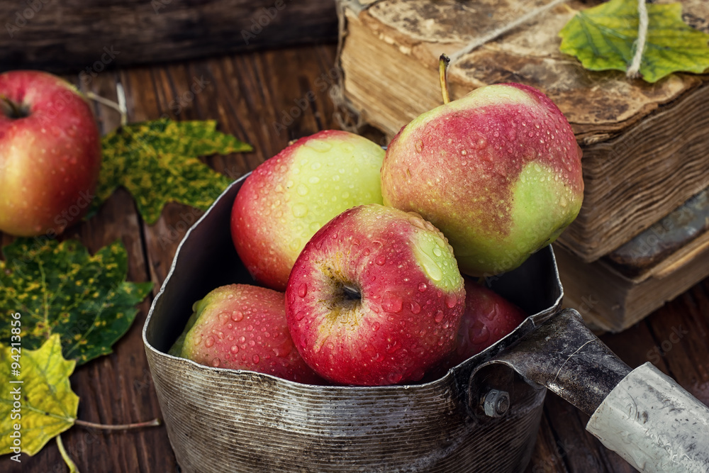 Wall mural autumn harvest of apples