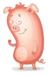 Cartoon Pig