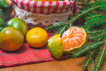Tangerines in plate and Branch of Coniferous
