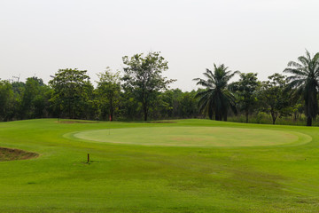 Golf course with red flag and  tree on the white background