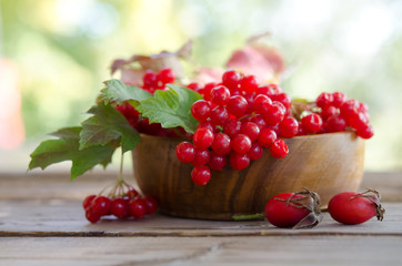 Red Viburnum berries in wooden bowl on the table with two rose h