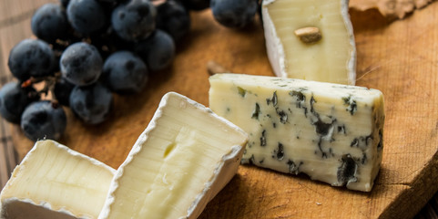 fall in love with cheese