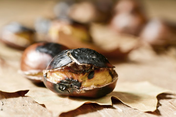 roasted chestnuts, typical snack in All Saints Day in Catalonia,
