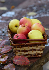 Basket with apples