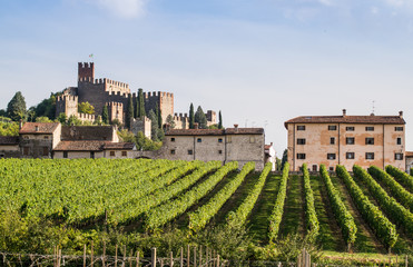 Fototapeta na wymiar view of Soave (Italy) and its famous medieval castle