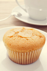 coffee and magdalena, typical spanish plain muffin