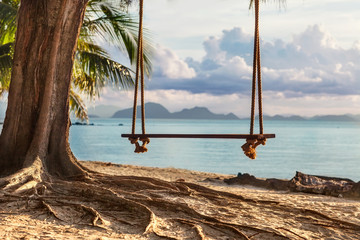 A wooden swing in a tree on the beach with beautiful views of th