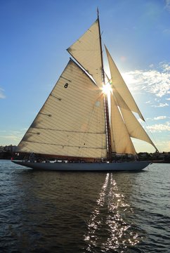 Velero