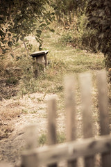 wicket in abandoned garden