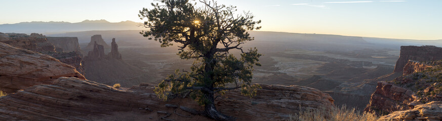 Obraz na płótnie Canvas Canyonlands National Park