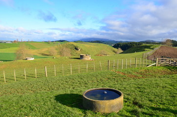 Paysage vert de Nouvelle-zélande 