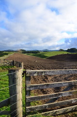 Paysage vert de Nouvelle-zélande 