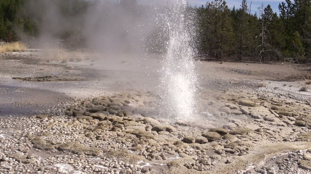 Hot Springs Norris Geyser Basin Yellowstone N.P.