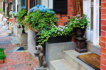 Boston flower window boxes decorating a row of classic red brick buildings