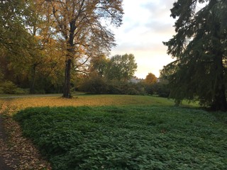 Spaziergang im Herbstwald