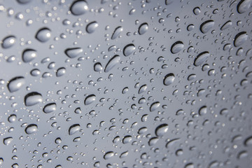 water drops background