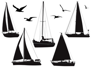 various sailing boats with birds in silhouette