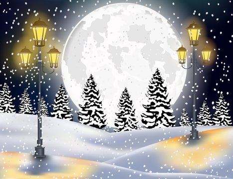 Winter Forest Landscape Christmas Background of illustration
