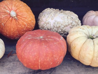 Fairytale Pumpkins