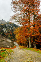 Las de Bious-Artigues