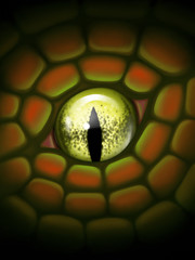 Fototapeta premium Dragon eye