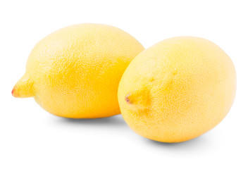 Two large yellow lemons 