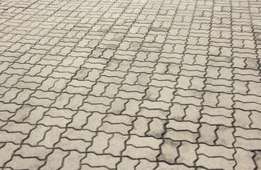 patterned paving tiles, cement brick floor background