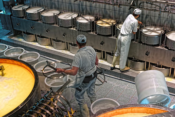 Workers putting the pressure plate on a сheese press