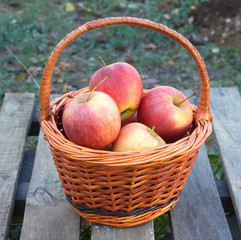 Ripe red and yellow apples inside brown wicker basket on old wooden table outdoor. Vertical view closeup
