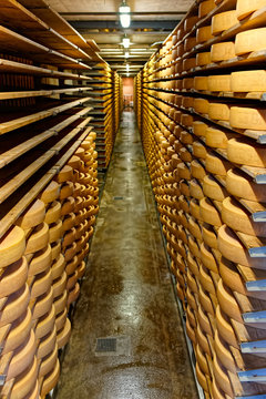 Gruyere cheese maturing in a cellar of Maison du Gruyere dairy