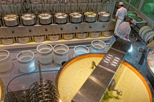 Important stage of Gruyere cheese production