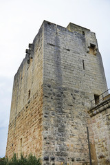 Fototapeta na wymiar Camargue, torre medievale.