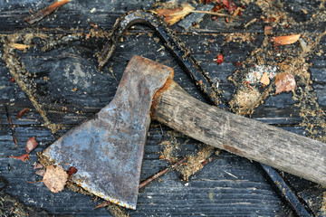Old axe and nail-catcher