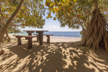 Wooden table and benches on the beach under tropical trees