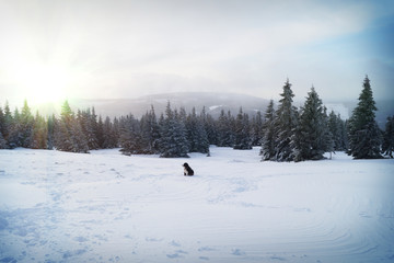 Obraz na płótnie Canvas European Mountains - Krkonose