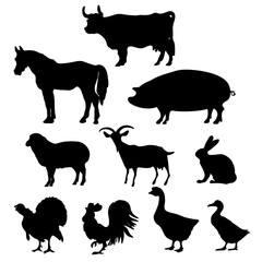 farm animals