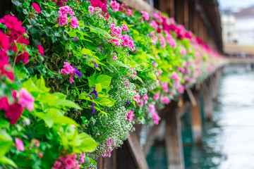 Flowers on The Chapel Bridge in Lucerne