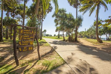 Tropical road with waymark surrounded by palm trees  in Thailand