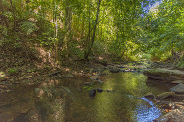 Naklejka premium River in jungle in Thailand, Krabi, Lanta