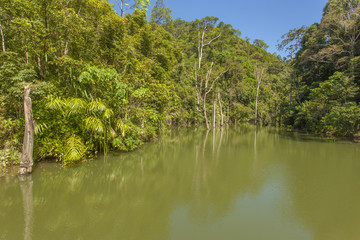 Tropical jungle lake in Thailand, Krabi, Lanta