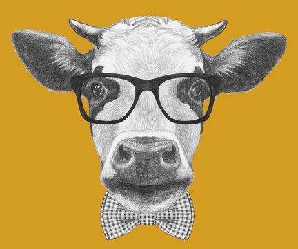 Portrait Of Cow With Glasses And Bow Tie. Hand Drawn Illustration.