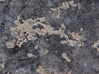 Grunge Texture on the floor