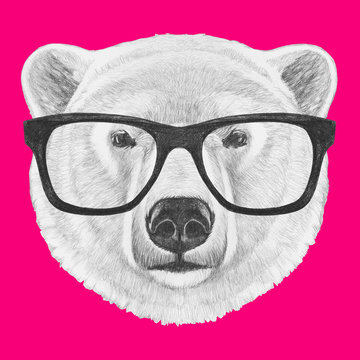Portrait of Polar Bear with glasses. Hand drawn illustration.