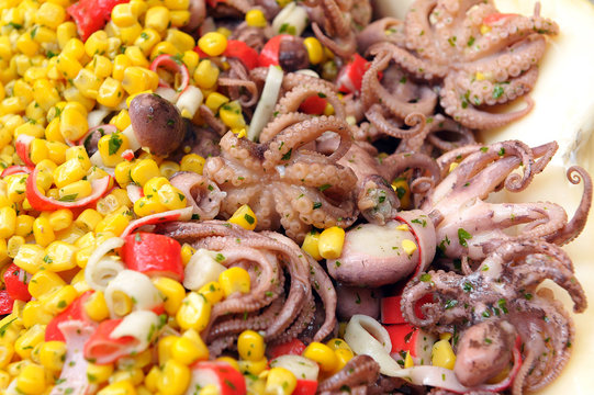 Insalata di Polpi