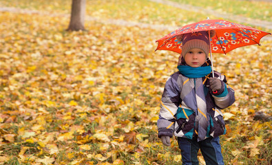 Serious little boy with umbrella in autumn park