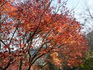 Jardins, Gramado - RS, Brasil