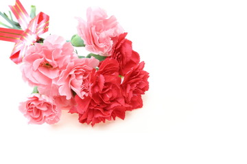 カーネーション