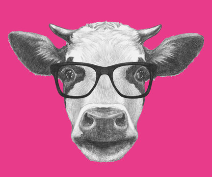 Portrait of Cow with glasses. Hand drawn illustration.