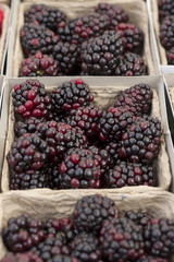 Blackberries Baskets